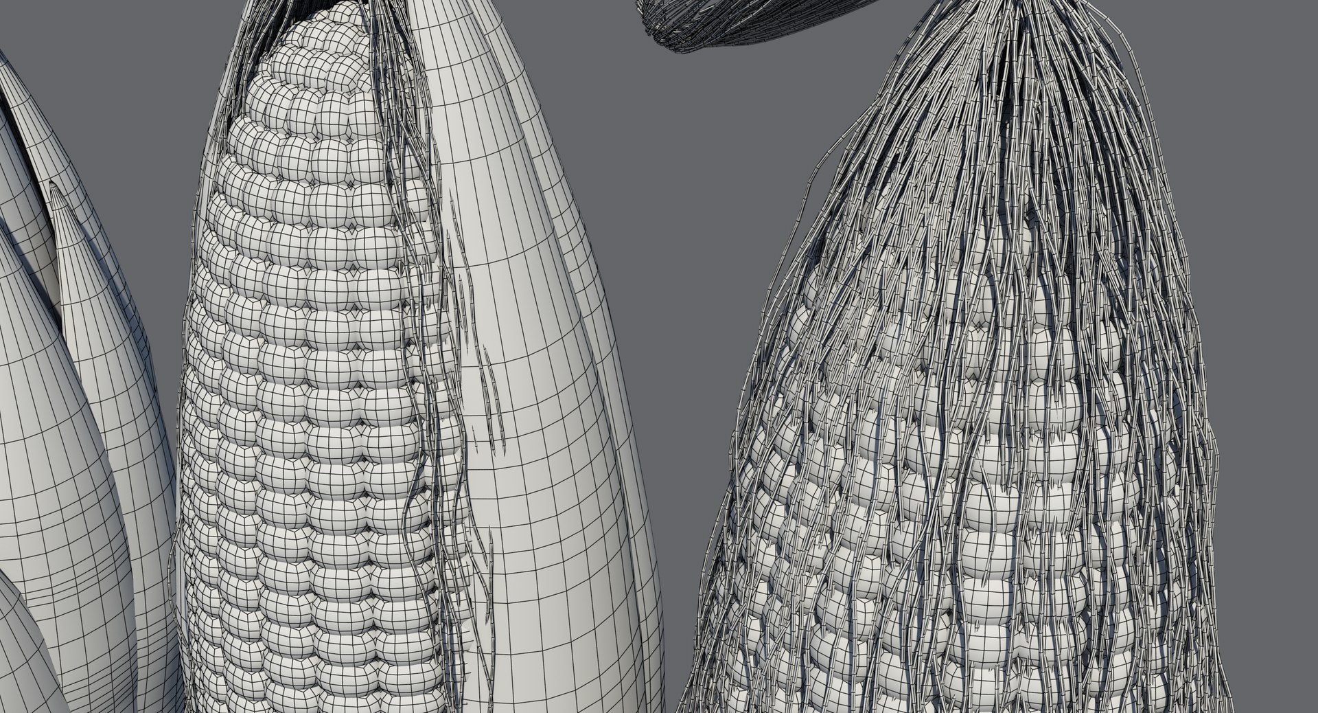Corn Sliced Cut 3d Model