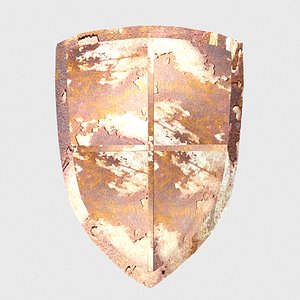 old shield