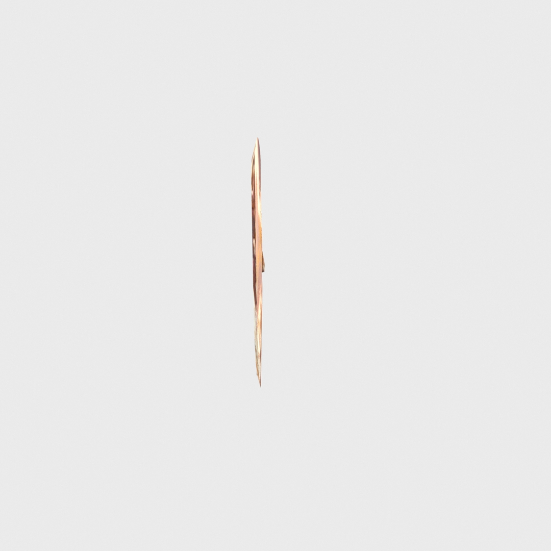 old shield 3D model https://p.turbosquid.com/ts-thumb/Jn/ULBfNl/gdYtAal8/image/jpg/1491595075/1920x1080/turn_fit_q99/c63e6d856005162319c490ada3d8c23dfec3c42d/image-1.jpg