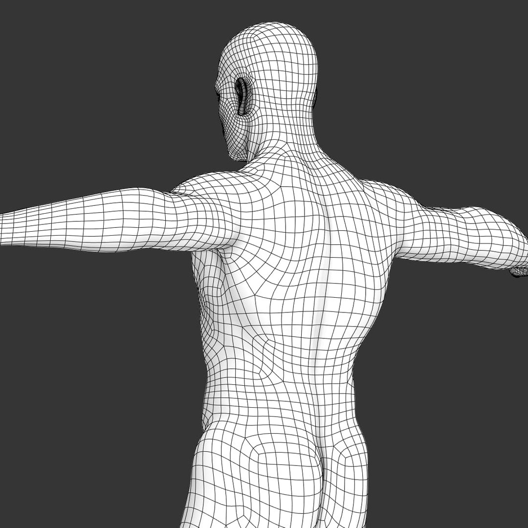 3d model realistic human male body