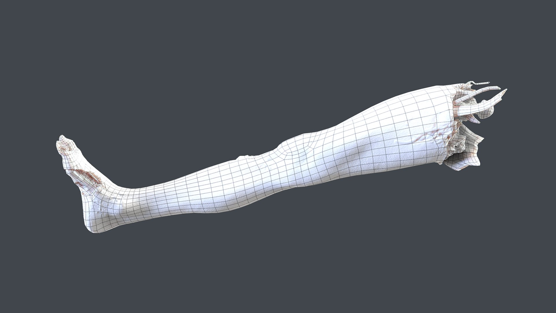 3D Severed Foot 4 model https://p.turbosquid.com/ts-thumb/Jn/dR1jEW/CY/wire1/png/1658391695/1920x1080/fit_q87/585e201b0d7c64661dc4eed56b51f2b949d37120/wire1.jpg