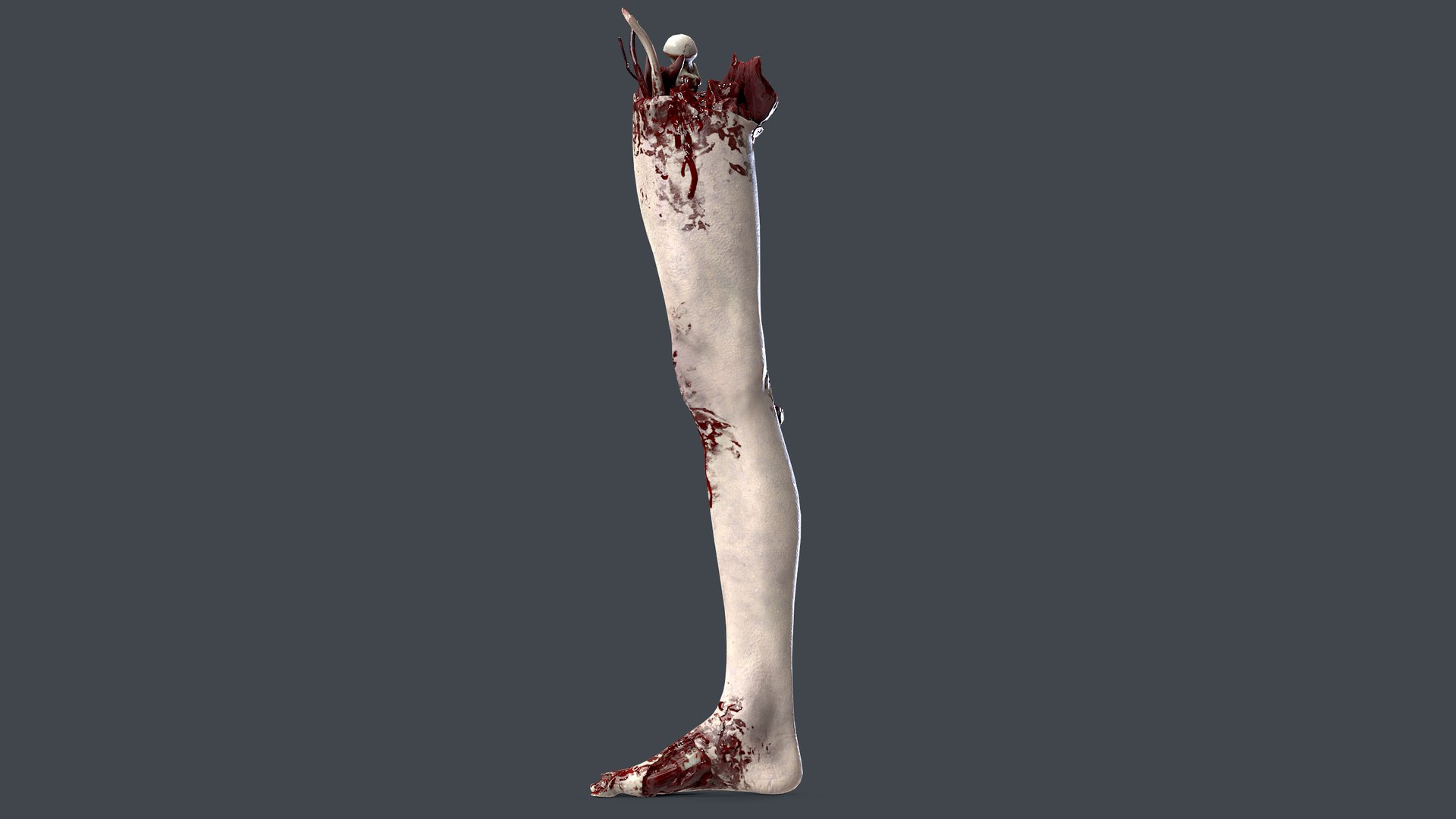 3D Severed Foot 4 model https://p.turbosquid.com/ts-thumb/Jn/dR1jEW/ED/5/png/1658391663/1920x1080/fit_q87/9ab1f958d2f34afdf2abb4664ed671f170f95743/5.jpg