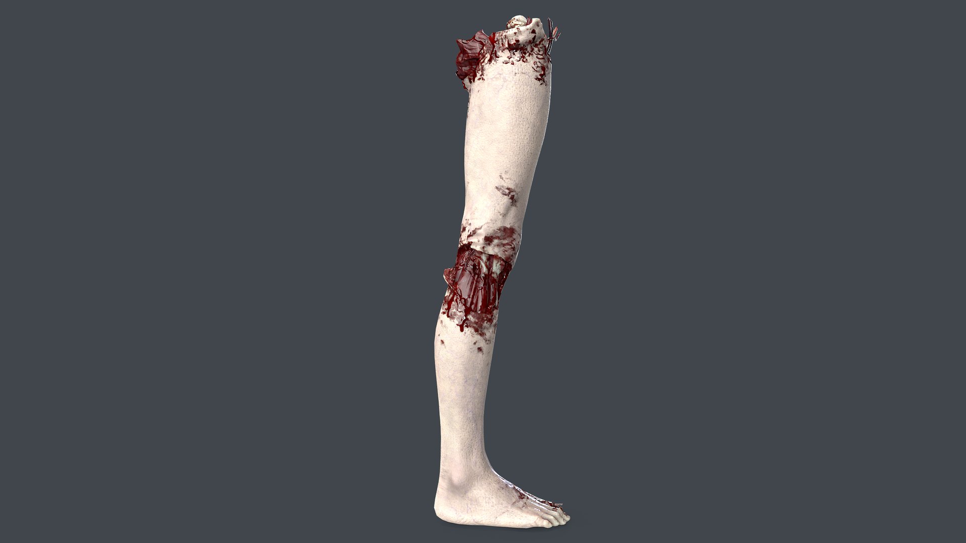 3D Severed Foot 4 model https://p.turbosquid.com/ts-thumb/Jn/dR1jEW/F5/3/png/1658391661/1920x1080/fit_q87/decc1a0313d2c384a9092d90a49cf5511dd83758/3.jpg