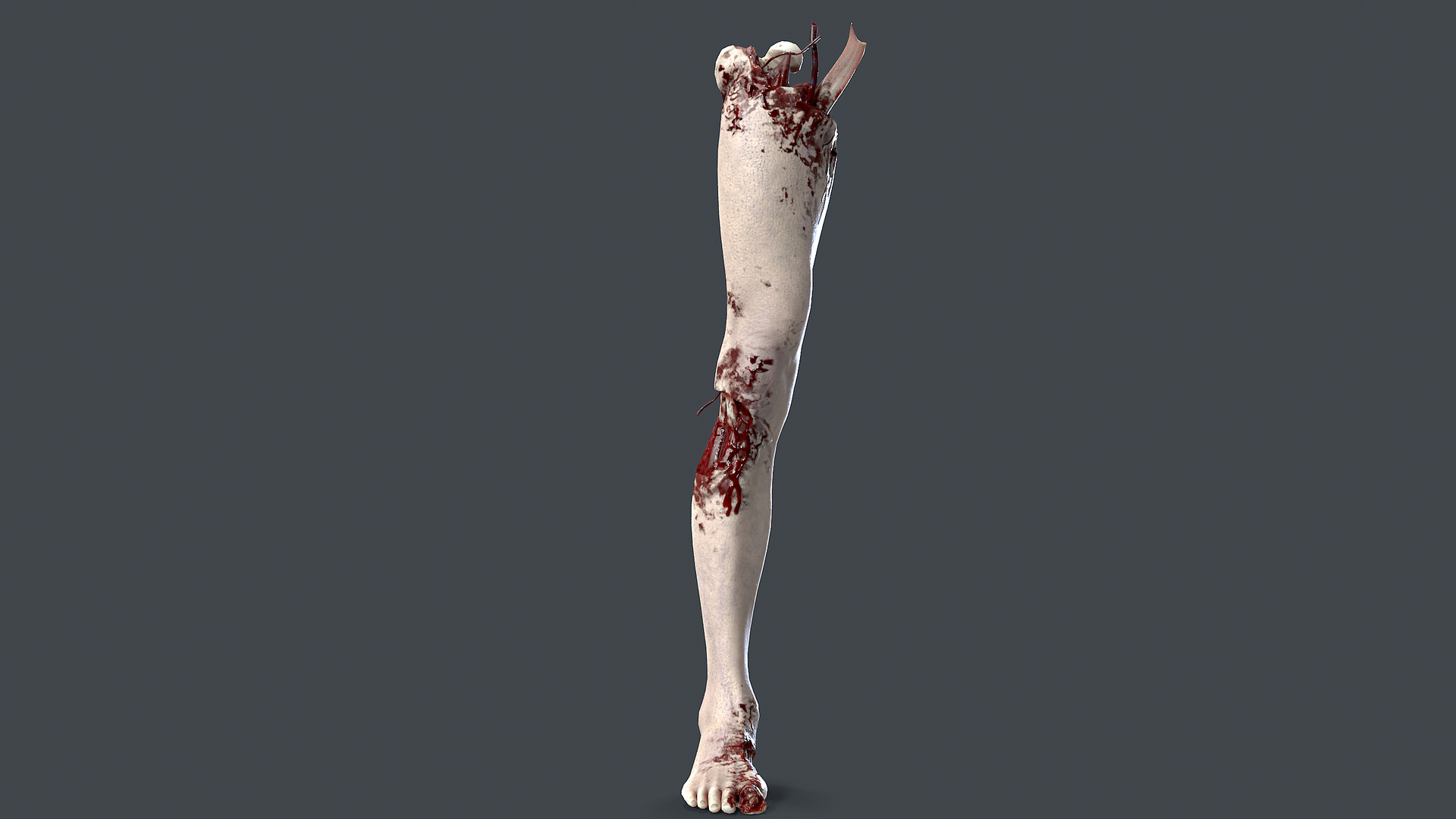 3D Severed Foot 4 model https://p.turbosquid.com/ts-thumb/Jn/dR1jEW/Je/untitled/png/1658391725/1920x1080/turn_fit_q99/8e70b03bd9f4e1c8056faf788e19553cbae37f35/untitled-1.jpg