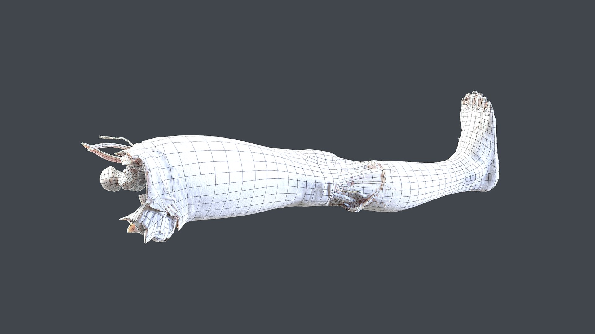 3D Severed Foot 4 model https://p.turbosquid.com/ts-thumb/Jn/dR1jEW/UX/wire2/png/1658391695/1920x1080/fit_q87/5fdd6507f74f35e65996ccc4113a3ddbd2e04944/wire2.jpg