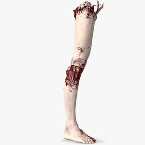 3D Severed Foot 4 model