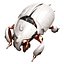 Beetle 3D model