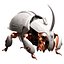 Beetle 3D model