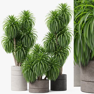 3D植物集合895模型