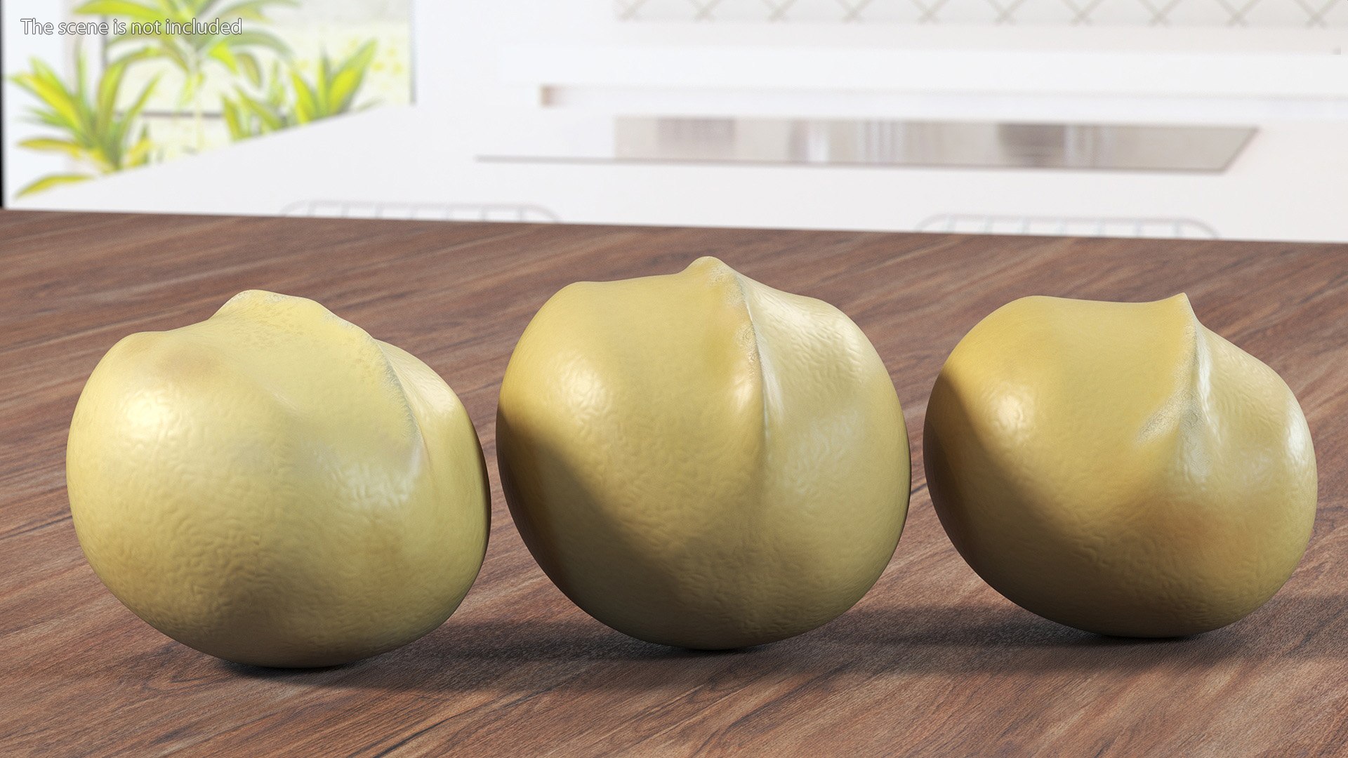 Peeled Macadamia Nuts 3D Model - TurboSquid 2179985
