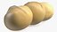 Peeled Macadamia Nuts