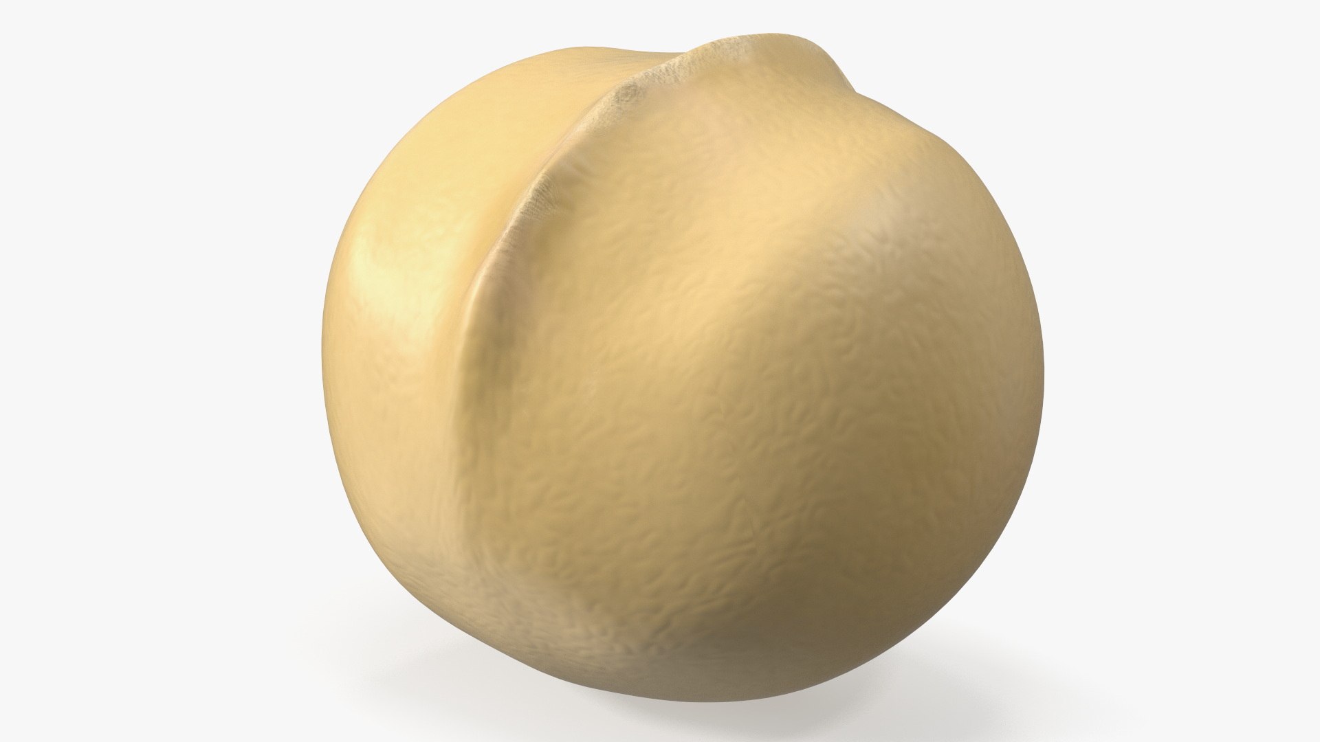 Peeled Macadamia Nuts 3D model https://p.turbosquid.com/ts-thumb/Jn/yucUml/Rg/peeledmacadamianutsvray3dmodel013/jpg/1705899056/1920x1080/fit_q87/7858bebab52c1b2c7f1055dae865039b52a77a64/peeledmacadamianutsvray3dmodel013.jpg