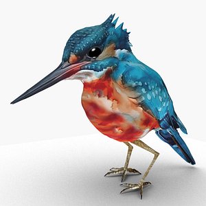 Exotic bird