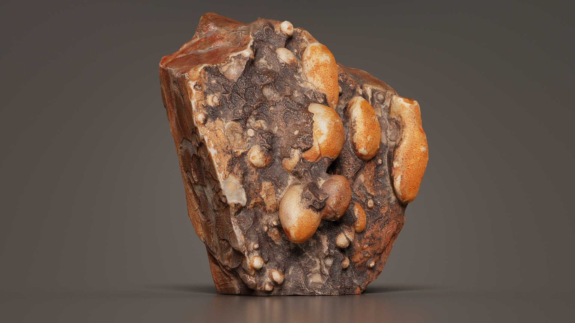 Suiseki Rock 02 Remastered 3D Model - TurboSquid 2362632