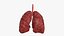 Sistema respiratório