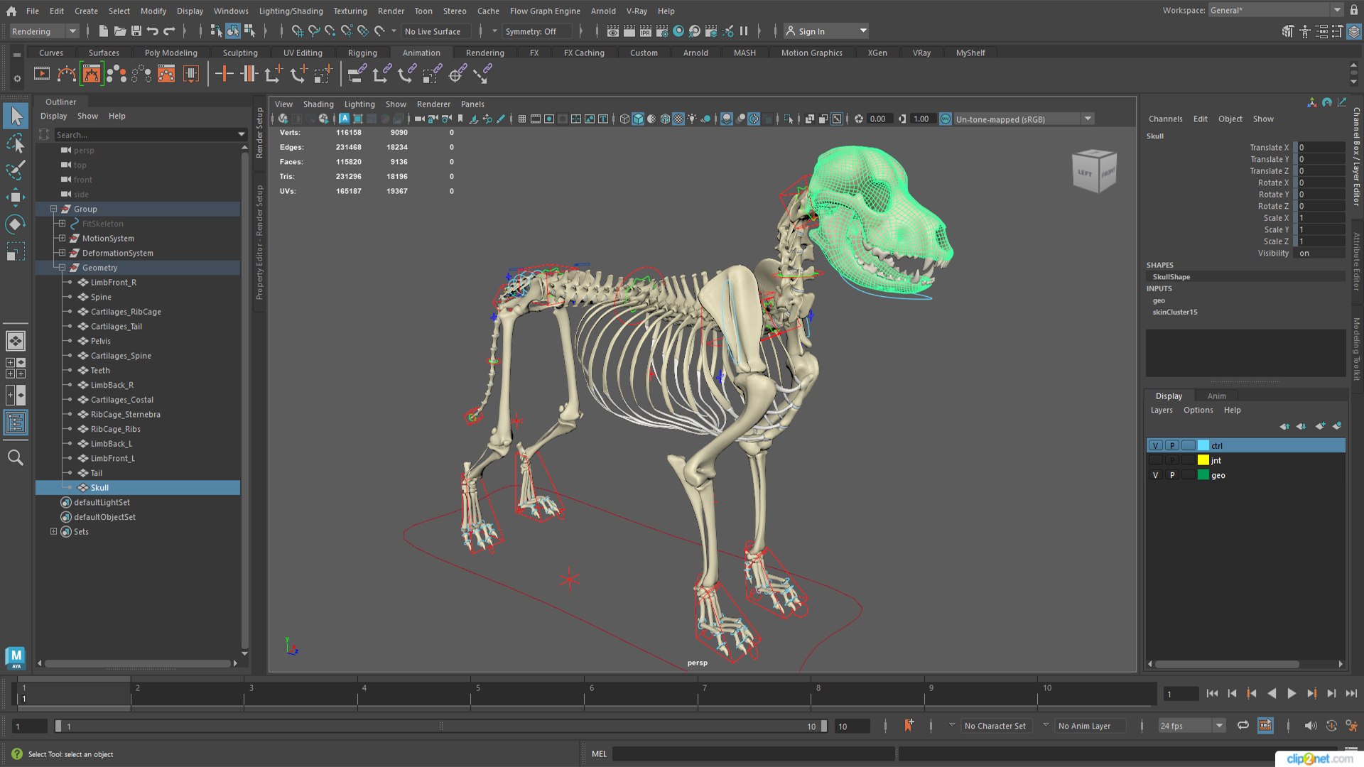 3D model Dog Skeleton Rigged For Maya https://p.turbosquid.com/ts-thumb/Jo/aZcEpW/od/dog_skeleton_rigged_for_maya_023/jpg/1776815642/1920x1080/fit_q87/97fa84f06e79a95af83e8266c7a4fb2fcdbd49d8/dog_skeleton_rigged_for_maya_023.jpg