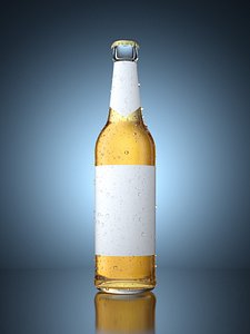 render beer bottle condensation 3D model