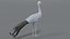 blue crane model