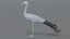 blue crane model