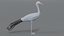 blue crane model