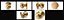 Door Knob Golden Set Collection V01