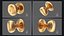 Door Knob Golden Set Collection V01