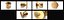 Door Knob Golden Set Collection V01