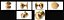 Door Knob Golden Set Collection V01