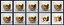 Door Knob Golden Set Collection V01