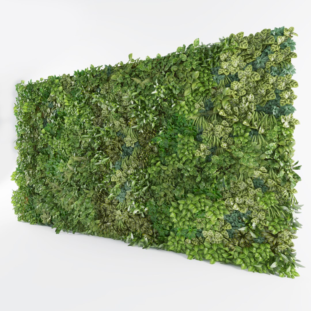 Vertical Green Wall Plants 3D TurboSquid 1401184