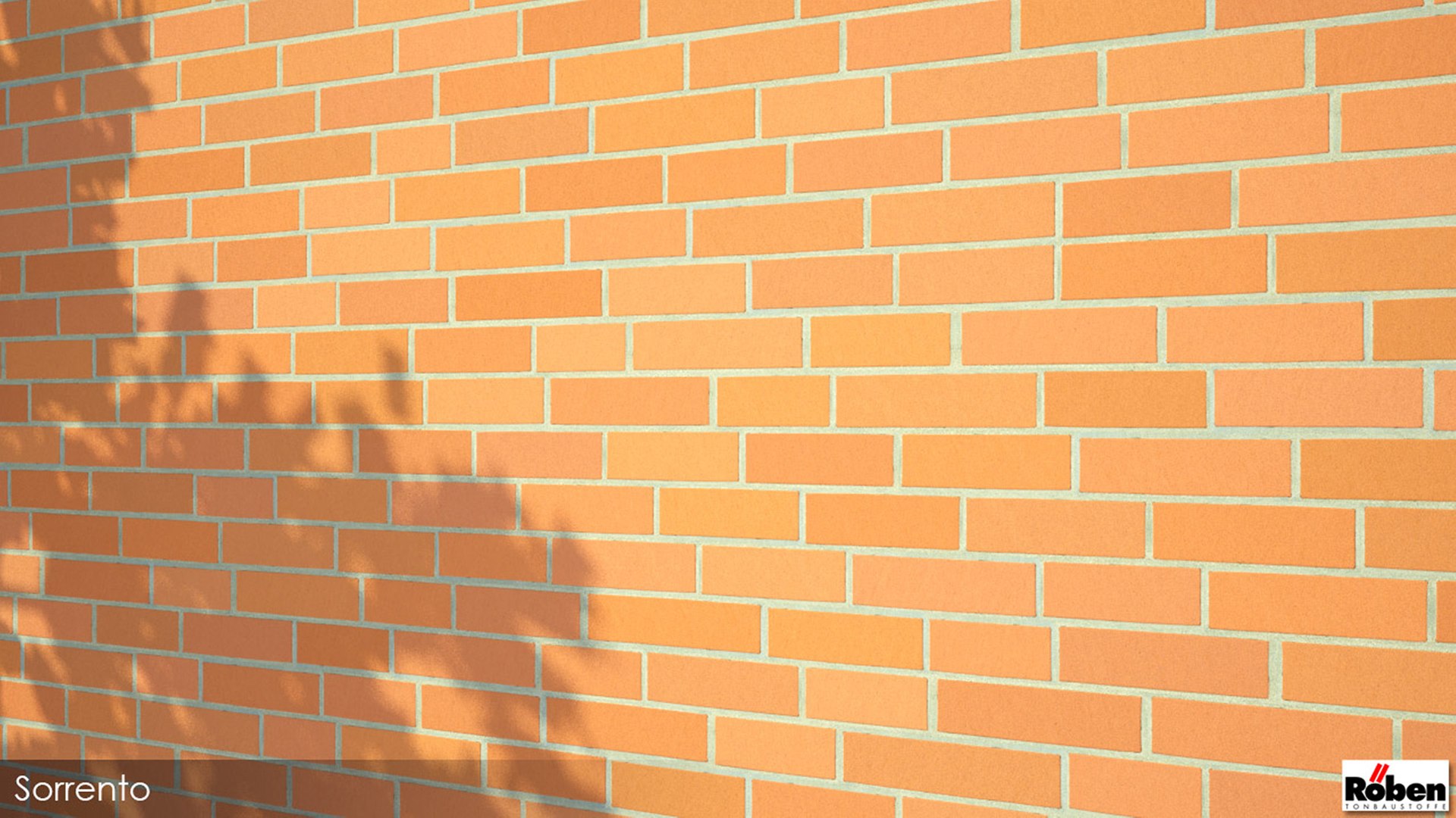 3D model Real Walls https://p.turbosquid.com/ts-thumb/Jp/9NqMFm/7B/vproebensorrentomid/jpg/1695554270/1920x1080/fit_q87/8738ae6e70ec0d12080e9a549787970fb3bc1a47/vproebensorrentomid.jpg