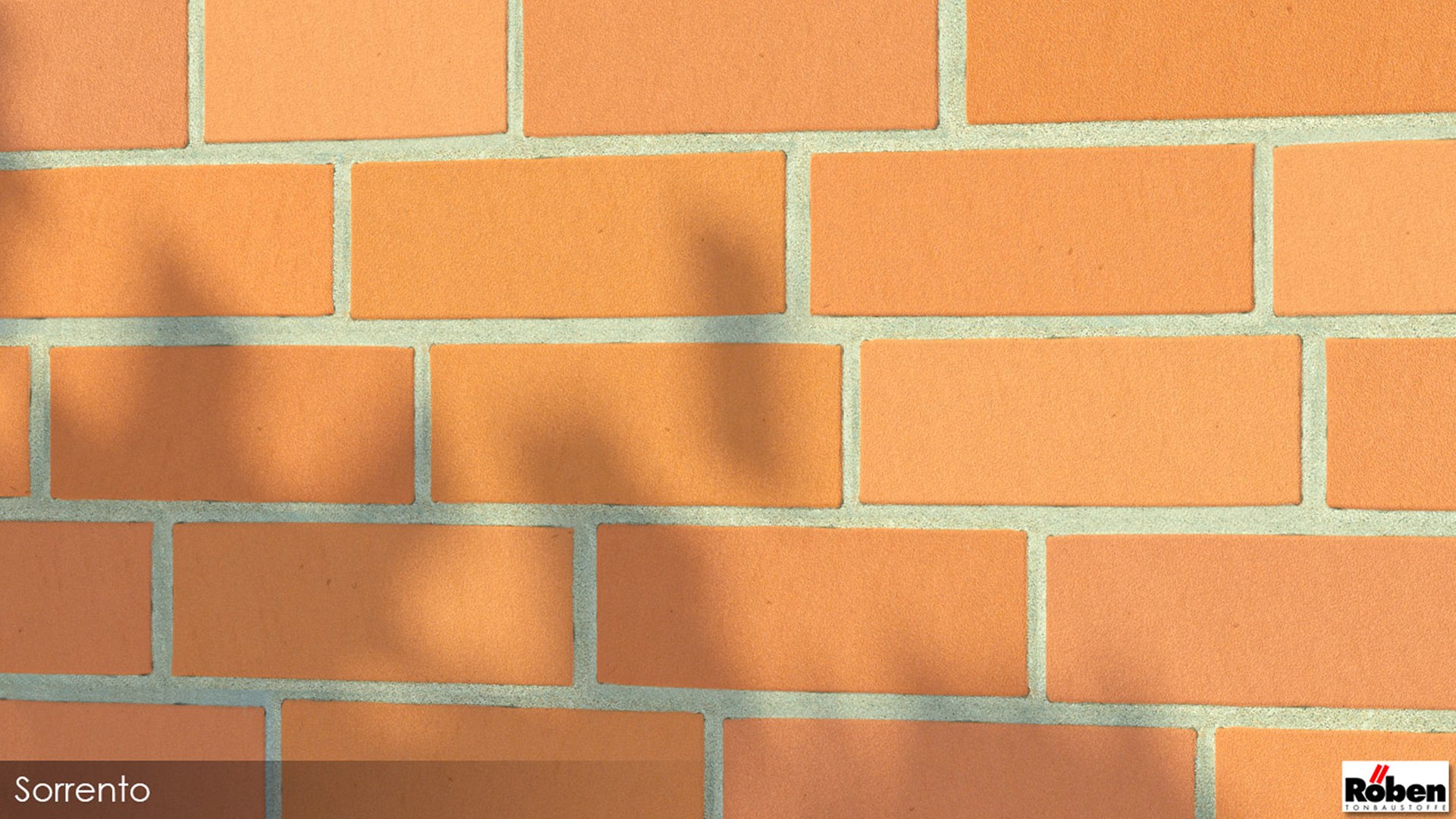 3D model Real Walls https://p.turbosquid.com/ts-thumb/Jp/9NqMFm/Fd/vproebensorrentoclose/jpg/1695554267/1920x1080/fit_q87/78217fcb680a8617f5b7913463d63483c7b91c47/vproebensorrentoclose.jpg