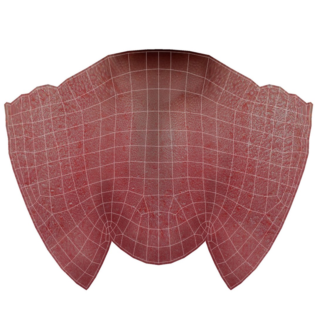 male female body 3D model https://p.turbosquid.com/ts-thumb/Jp/Av9FnM/32AJlbfF/txt06.jpg/jpg/1583982769/1920x1080/fit_q87/c14a2ff9283a7f9c23037f373c7e30b1fb4ff045/txt06.jpg.jpg