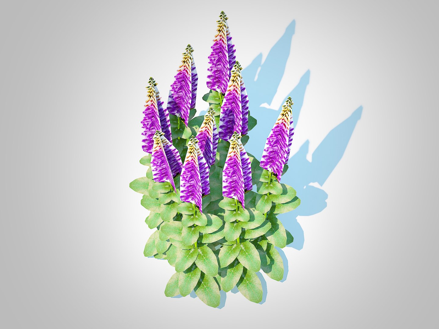3D model Digitalis purpurea - Common Foxglove purple https://p.turbosquid.com/ts-thumb/Jp/FAiKyO/ZZ/5/jpg/1729405922/1920x1080/fit_q87/c86a2a391e13c1d52b0518c9fad76aaaba4a5012/5.jpg