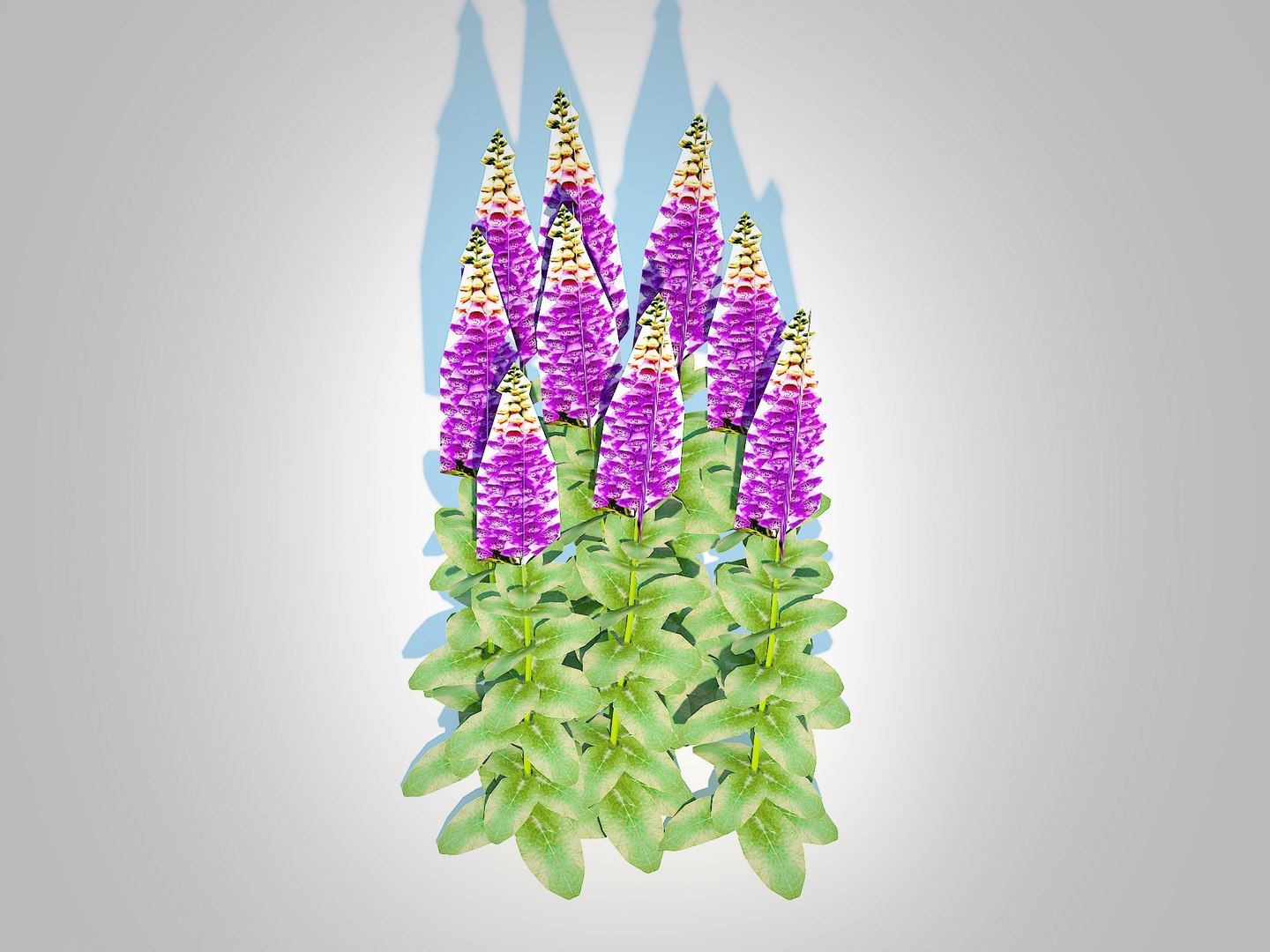 3D model Digitalis purpurea - Common Foxglove purple https://p.turbosquid.com/ts-thumb/Jp/FAiKyO/q1/4/jpg/1729405920/1920x1080/fit_q87/46662d3edf1a99dc3cbdc7906fd70ae20011d610/4.jpg