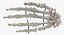 3D human hand bones wire