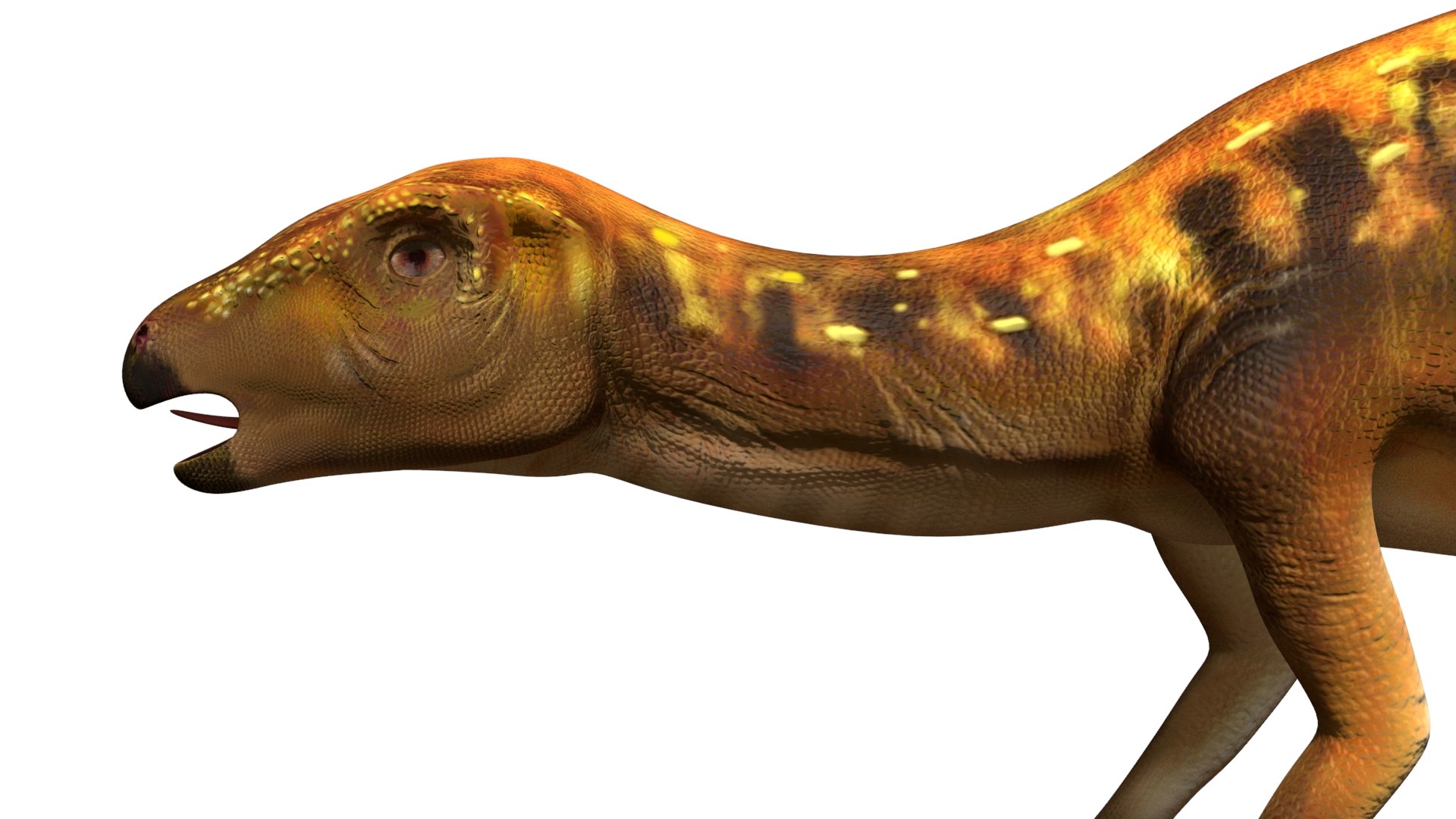 Tatisaurus Dinosaur Jurassic Animal 3D Model - TurboSquid 2342292
