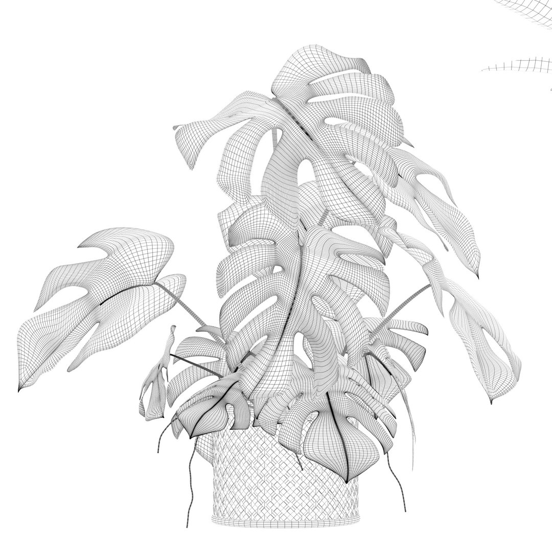 Plants Collection 210 - Monstera Deliciosa Croton Areca Palm Ficus ...