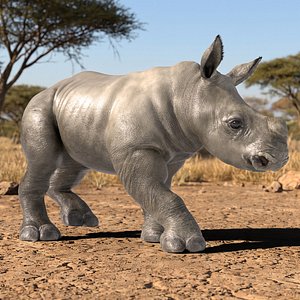 Walking Rhino Calf Animated Fur Rigged For Blender