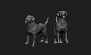 3D jack russell terrier