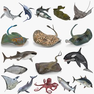 Fishes Collection 4 Rigged for Cinema 4D