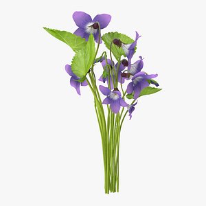3d violet bouquet - model
