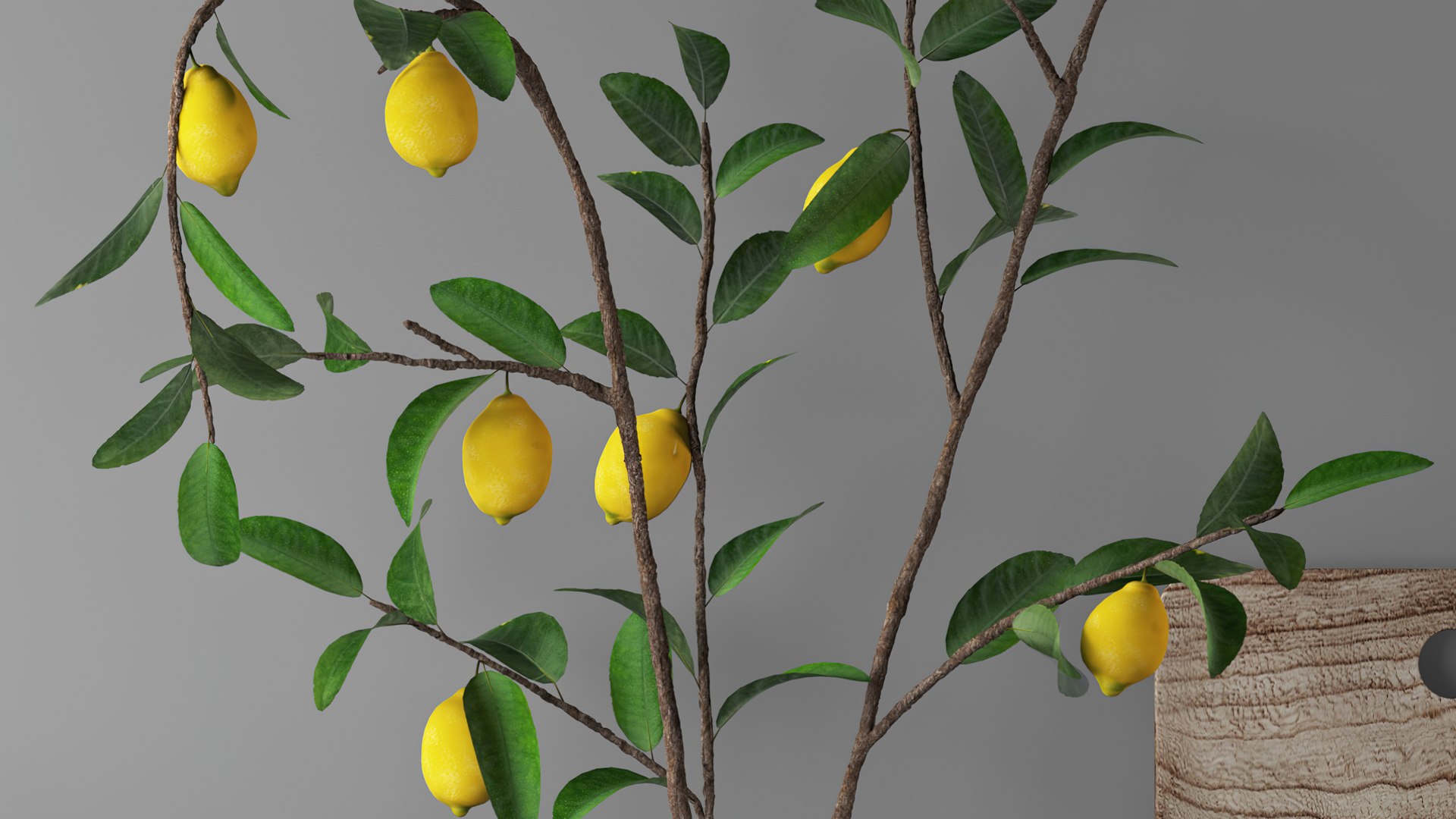 3D Set with lemon branches https://p.turbosquid.com/ts-thumb/Jp/qfL7e5/FT/turbosquid3/jpg/1639043329/1920x1080/fit_q87/477e09d0de5deb1c773662fc8888513e288e8ebb/turbosquid3.jpg