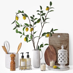 3D Set with lemon branches