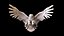 Aigle