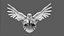 Aigle