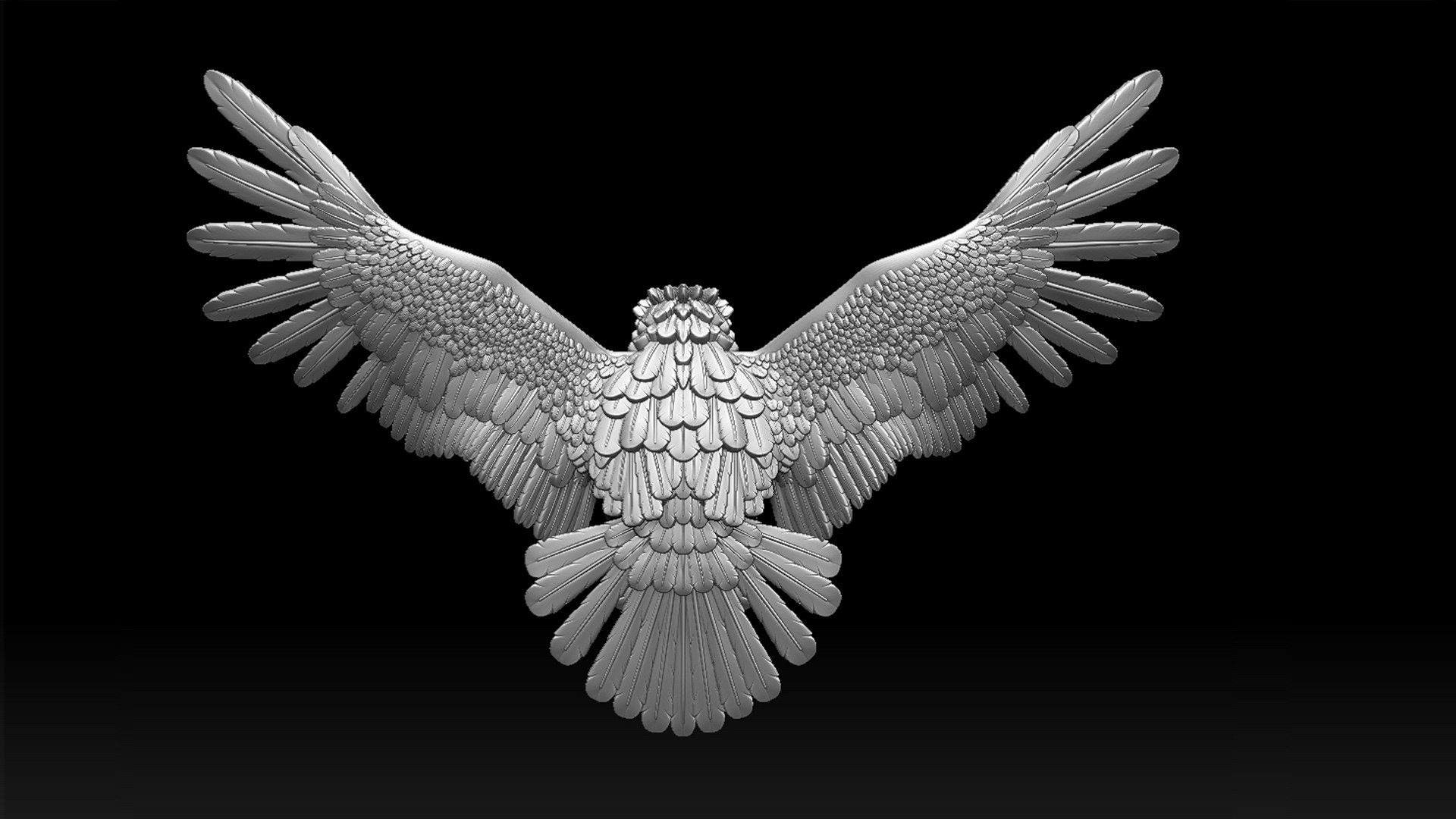 Eagle 3D model https://p.turbosquid.com/ts-thumb/Jq/1ltIDi/xp/65756756756/jpg/1747327761/1920x1080/fit_q87/1d2eb9960c47f2d80118458412d2da131ad8fa4a/65756756756.jpg