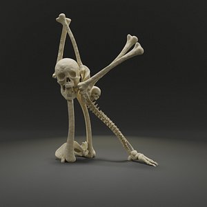 letter k bones skeleton 3D model