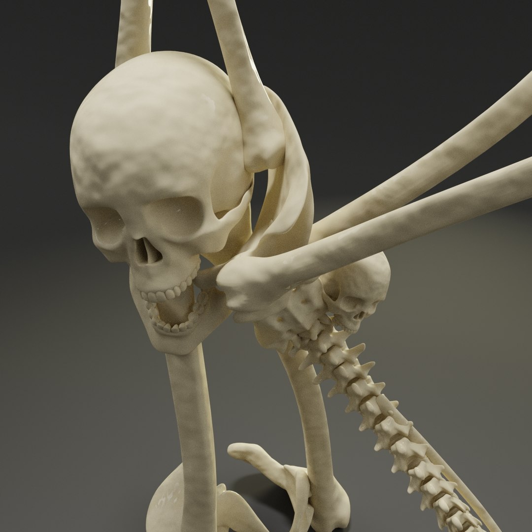 Letter K Bones Skeleton 3D Model - TurboSquid 1547533