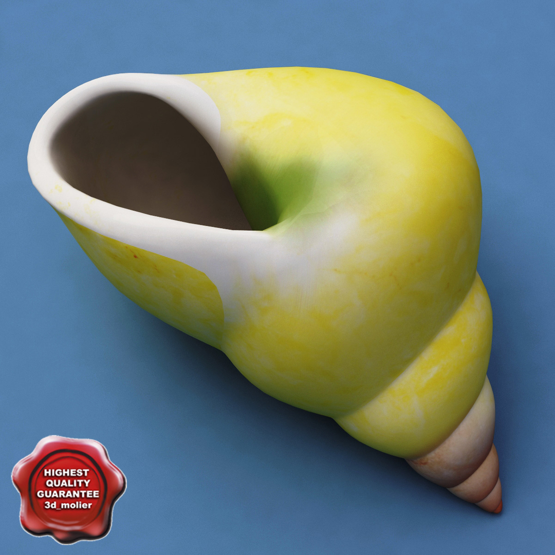 cat terrestrial shell 3d model